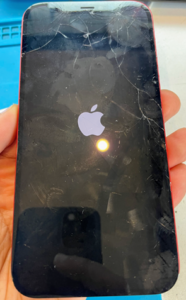 IPHONE Repair in Ashwood